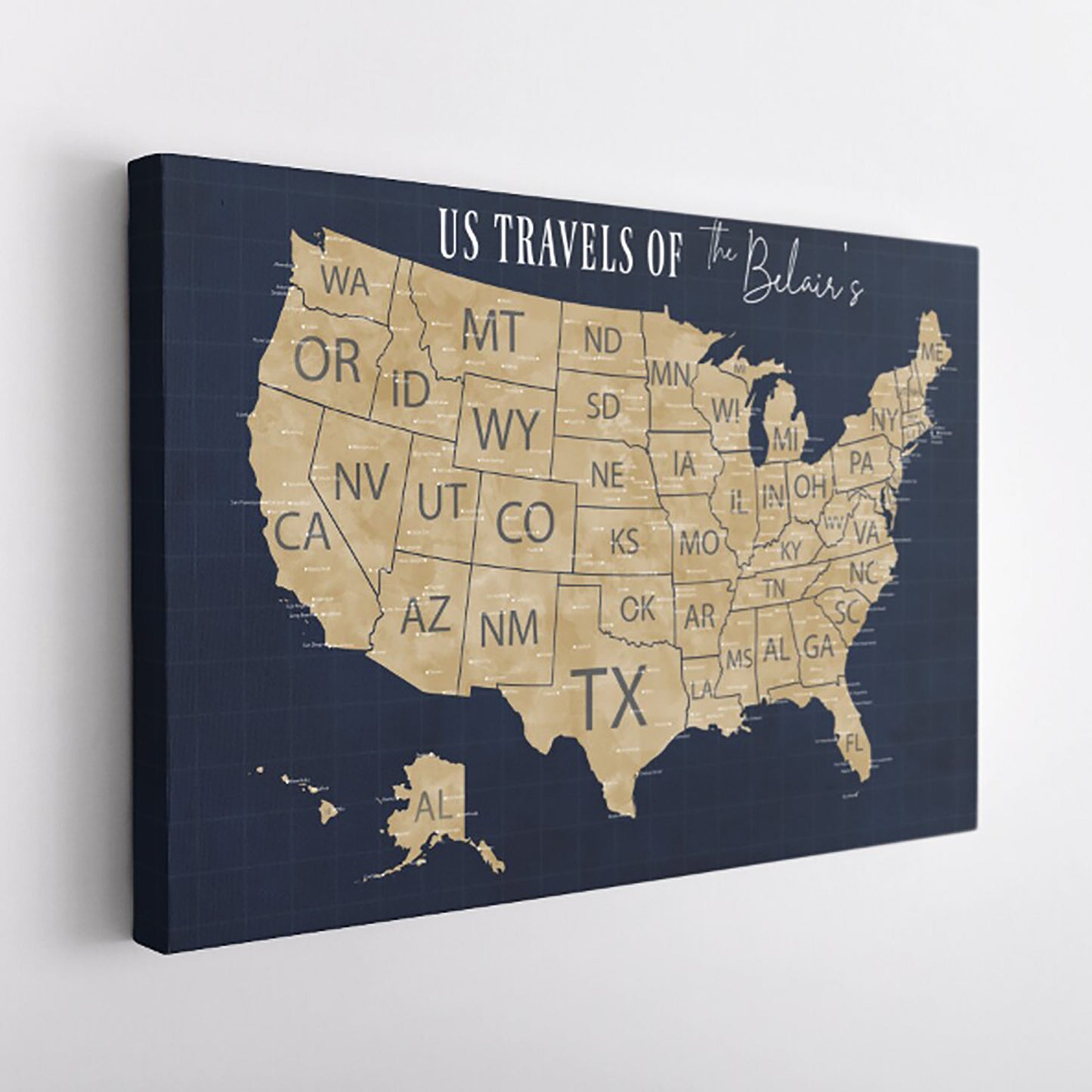 USA Push Pin Travel Map